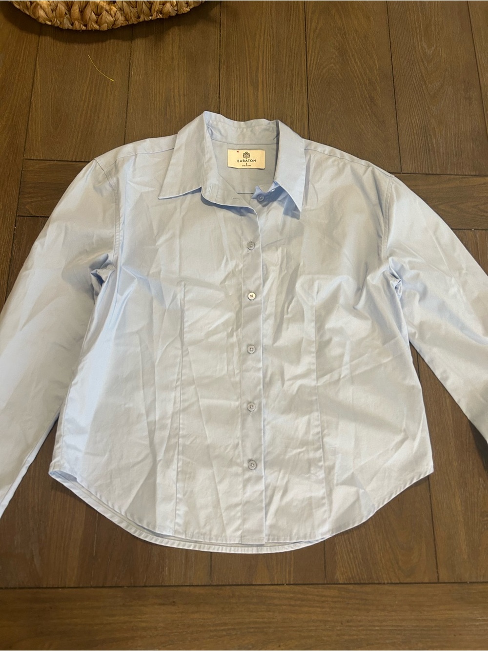 Babaton Pale Blue Button-Down Dress Shirt